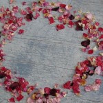 A Circle of Rose Petals